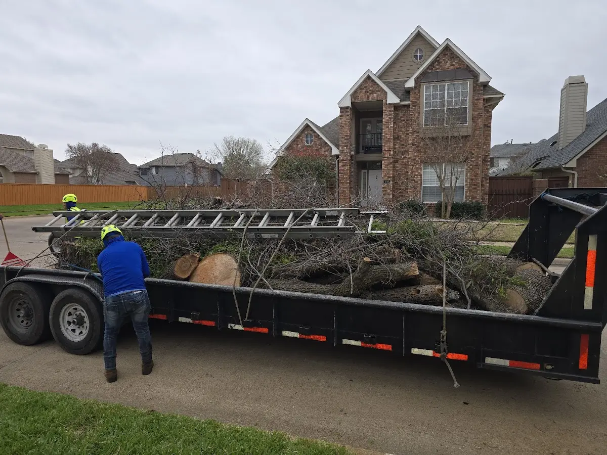 Expert Tree Fertilization with proper safety equipment in Leona